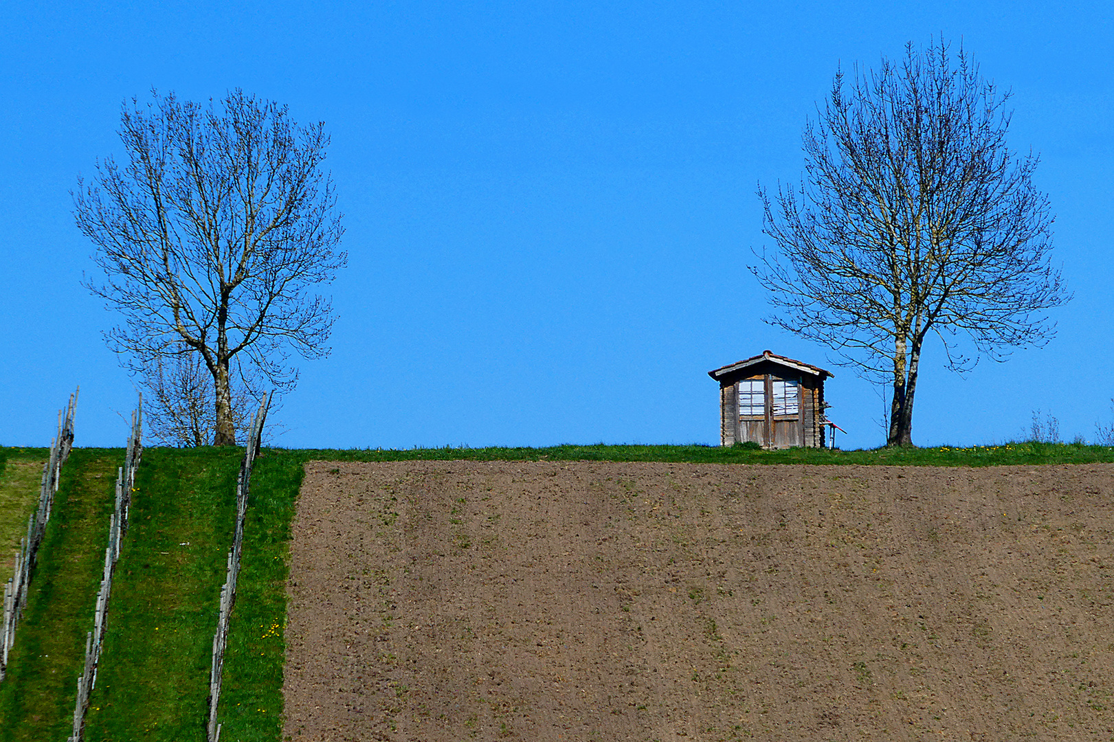 Frühling-III