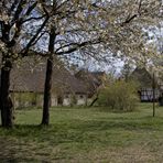 Frühling im