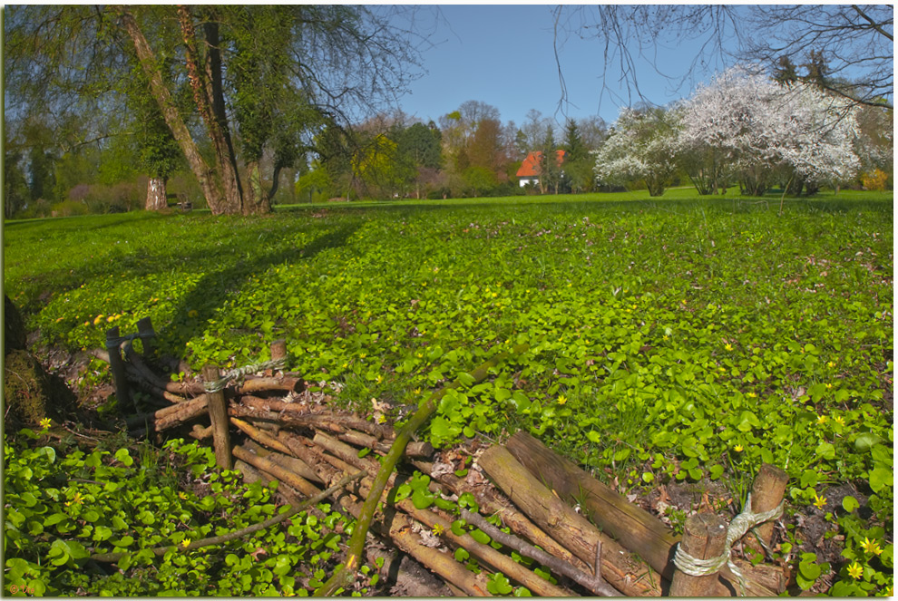 Frühling im