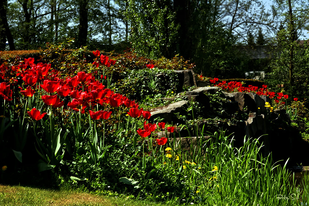 Frühling im Ahnepark