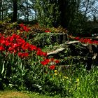 Frühling im Ahnepark