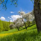 Frühling im Aichelbachtal