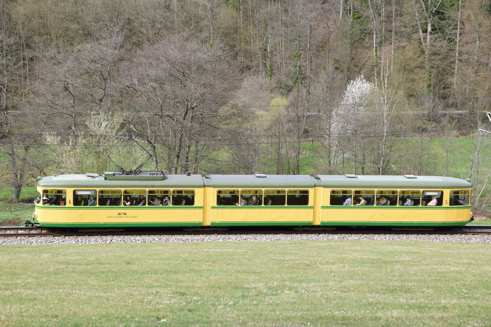 Frühling im Albtal  -1