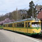 Frühling im Albtal  -2