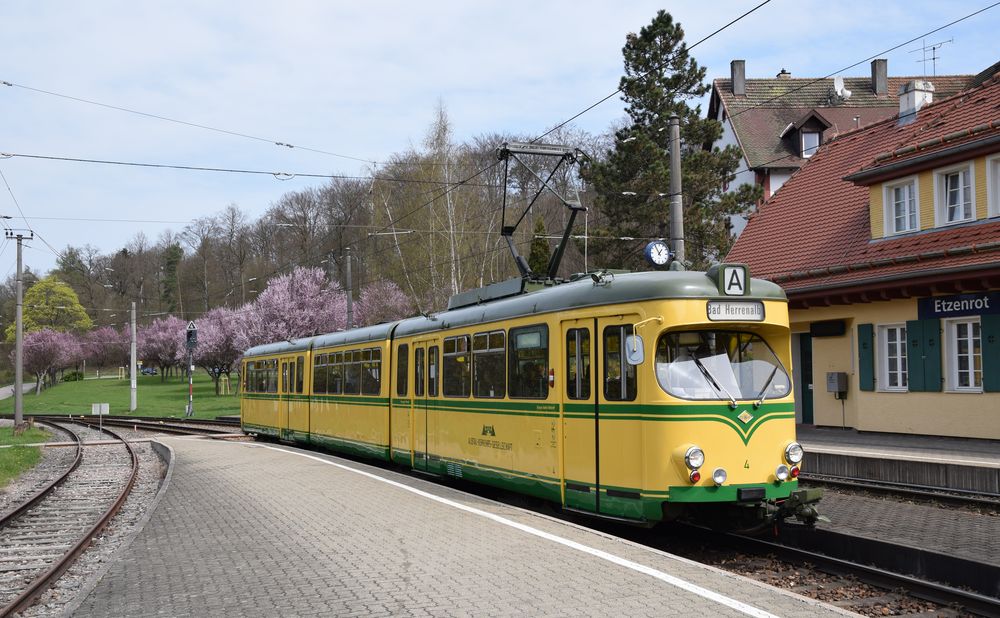 Frühling im Albtal  -2