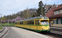 Frühling im Albtal  -2