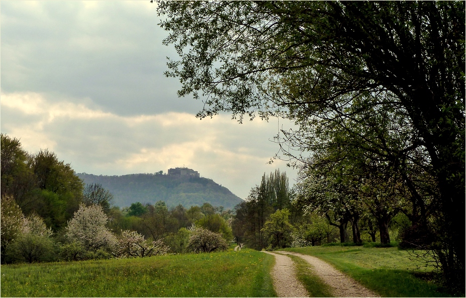 Frühling im Albvorland 1