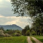 Frühling im Albvorland 1