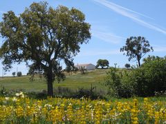 Frühling im Alentejo