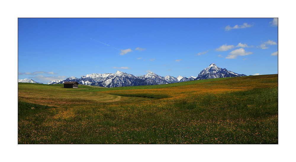 Frühling im Allgäu