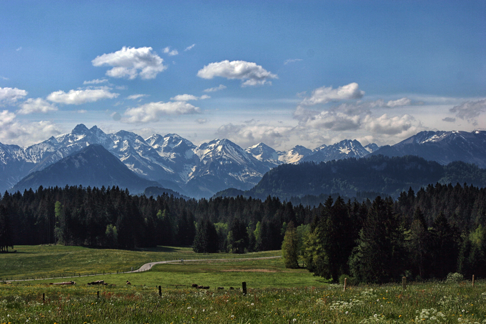 Frühling im Allgäu