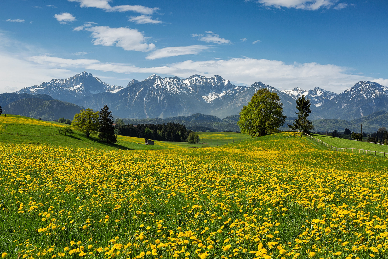 Frühling im Allgäu