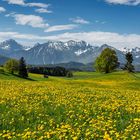 Frühling im Allgäu