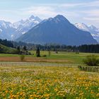 Frühling im Allgäu