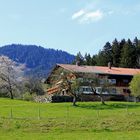 Frühling im Allgäu