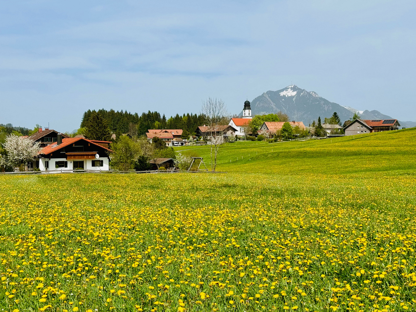 Frühling im Allgäu