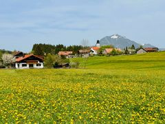 Frühling im Allgäu