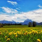 Frühling im Allgäu