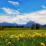 Frühling im Allgäu