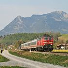 Frühling im Allgäu