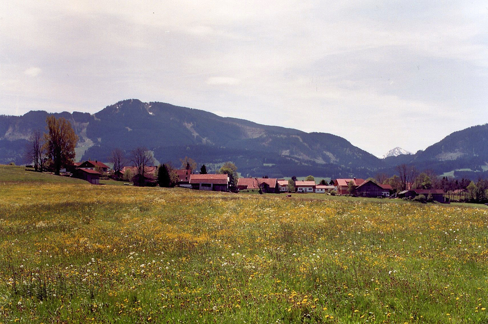 Frühling im Allgäu