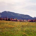 Frühling im Allgäu