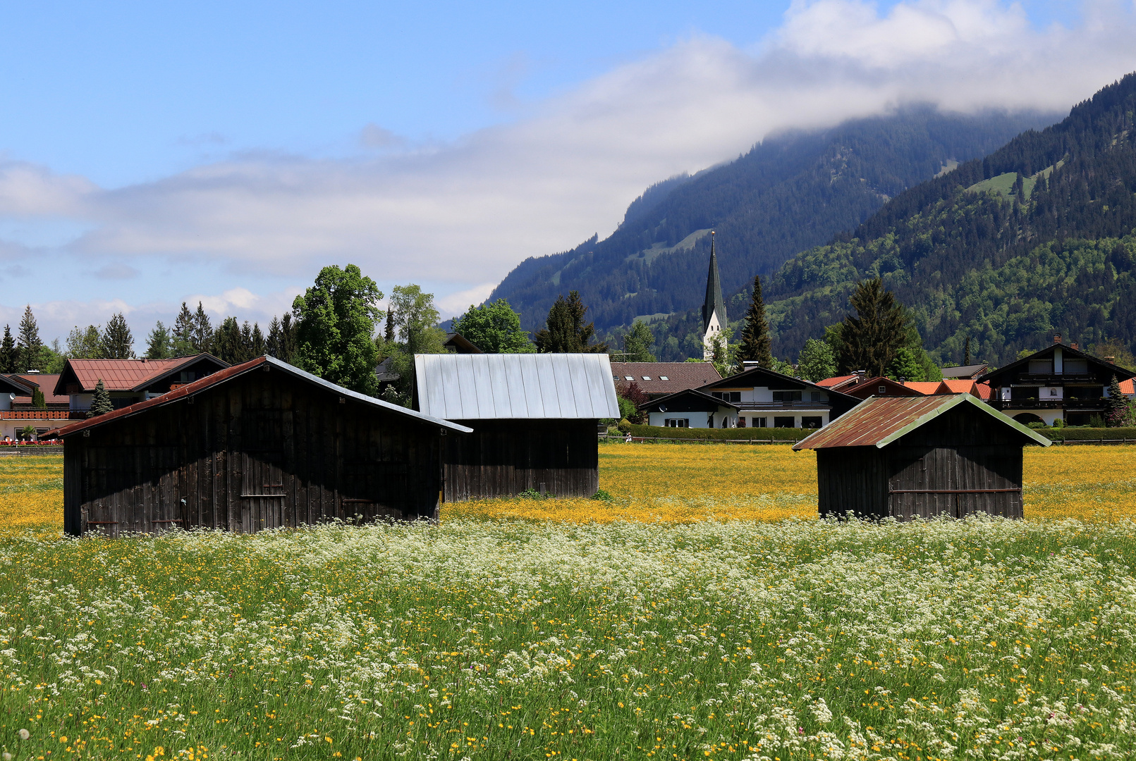 Frühling im Allgäu