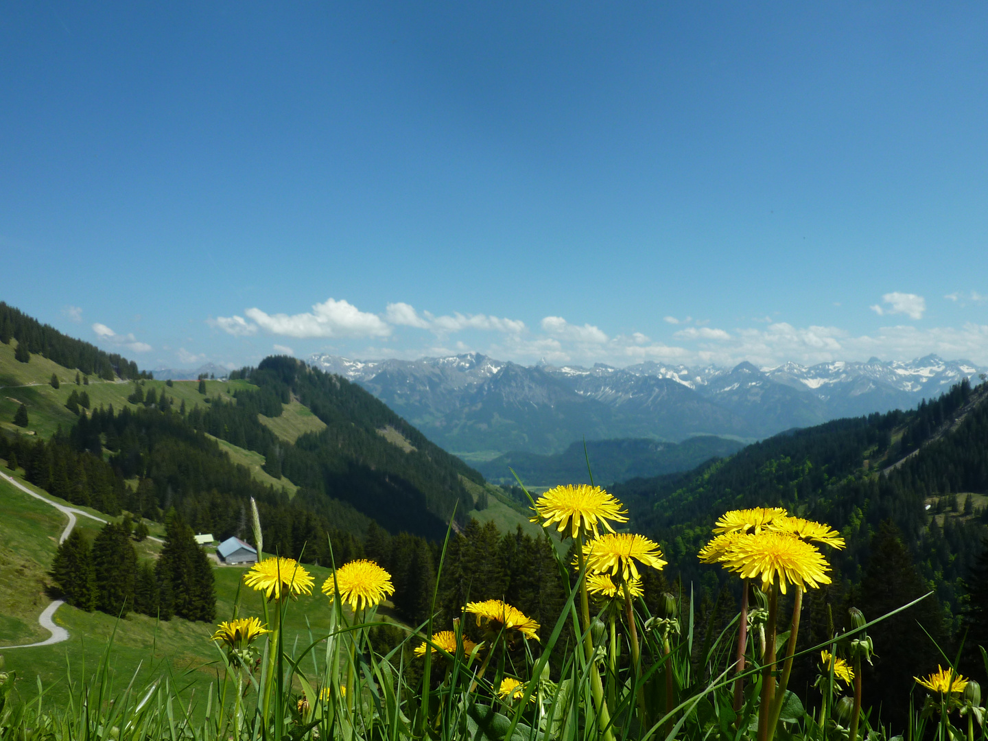 Frühling im Allgäu