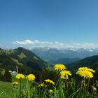 Frühling im Allgäu