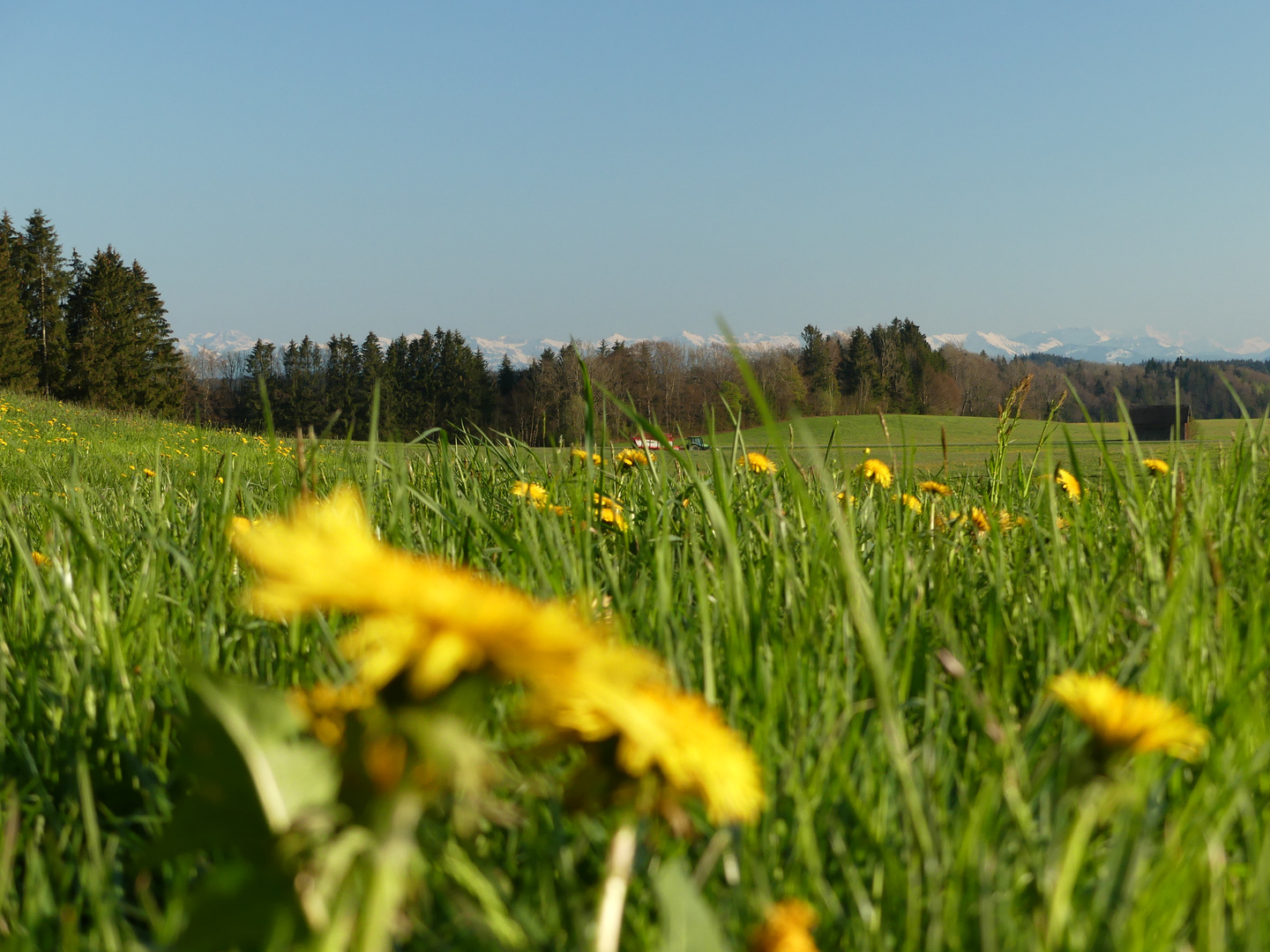 Frühling im Allgäu