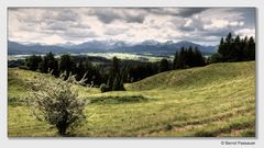 Frühling im Allgäu_2