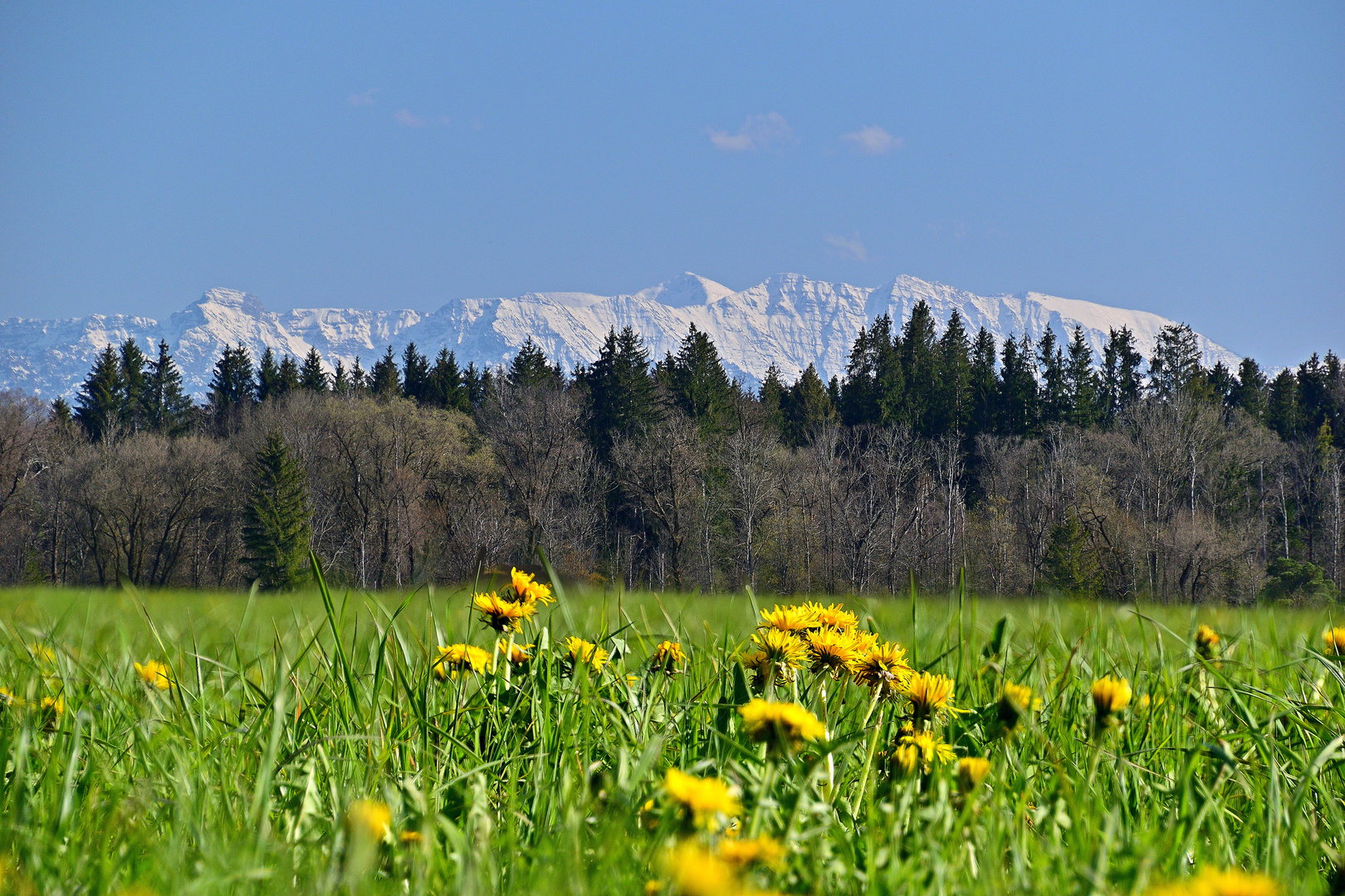 Frühling im Alpenvorland