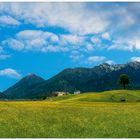 Frühling im Alpenvorland