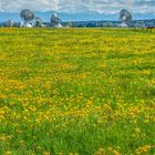 Frühling im Alpenvorland