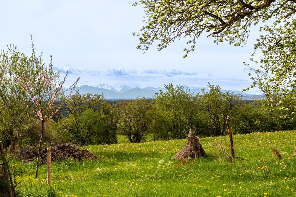 Frühling im Alpenvorland.