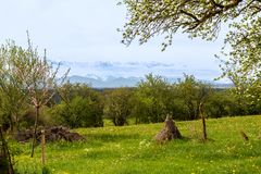 Frühling im Alpenvorland.