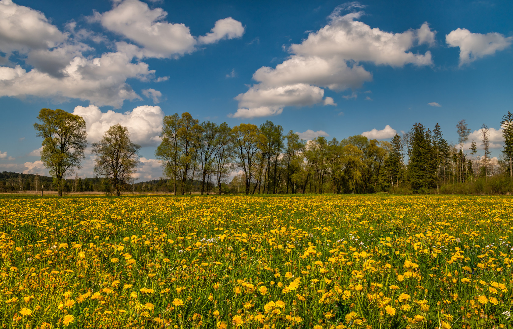 Frühling im Alpenvorland