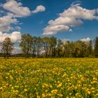 Frühling im Alpenvorland