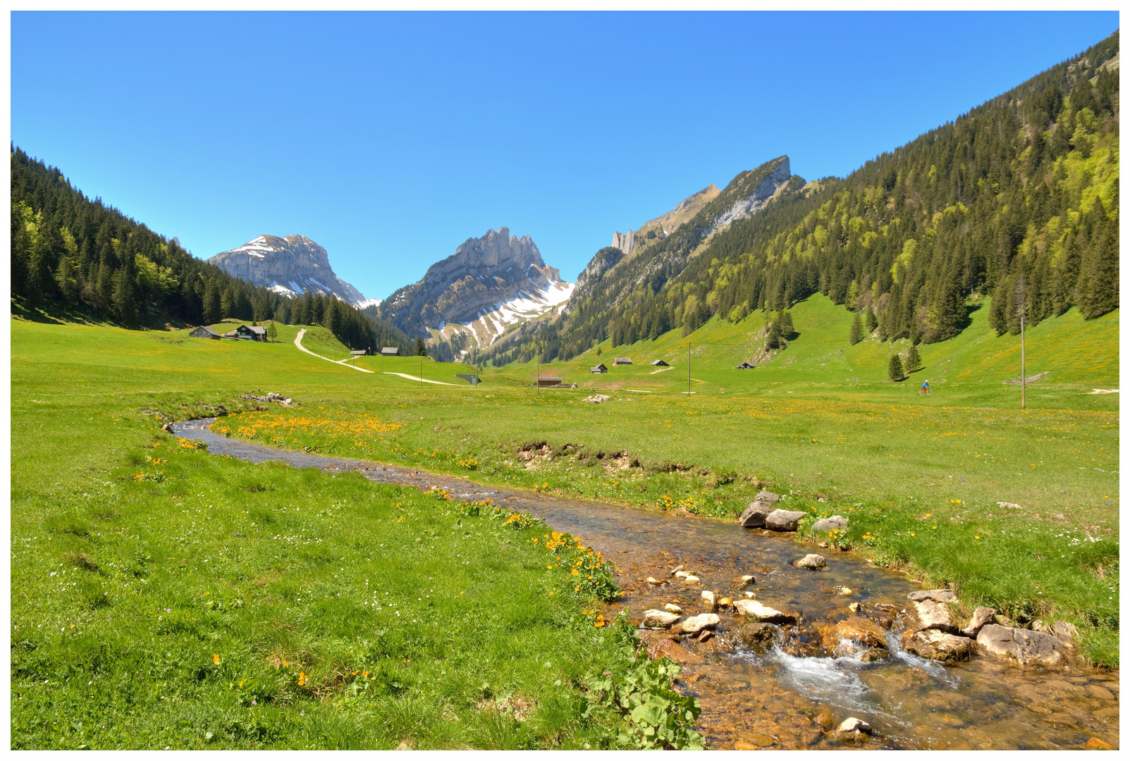 Frühling im Alpstein