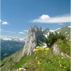 Frühling im Alpstein