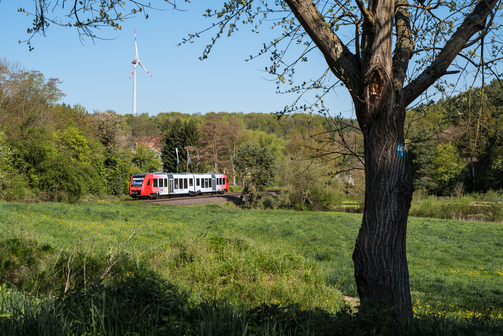 Frühling im Alsenztal - II -