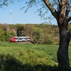 Frühling im Alsenztal - II -