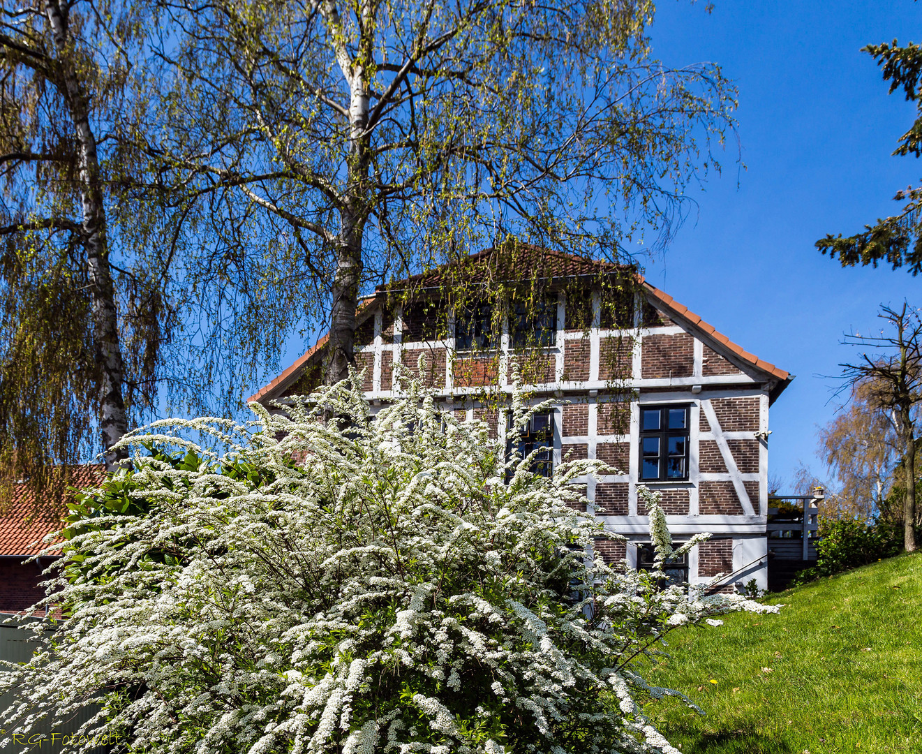 Frühling im Alten Land