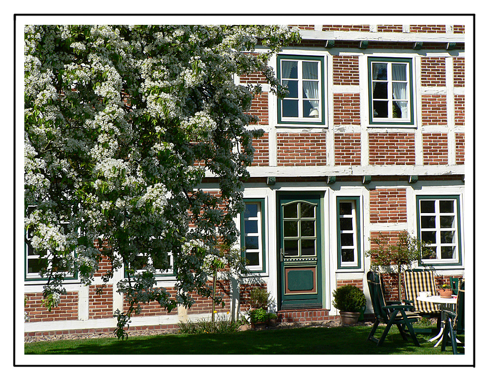 Frühling im "Alten Land"