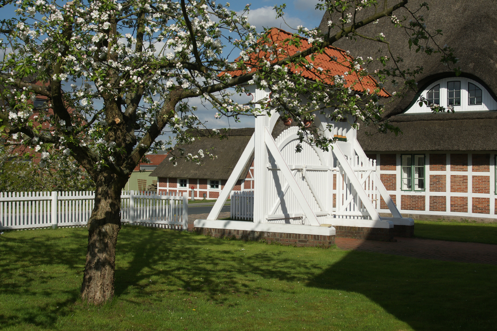 Frühling im alten Land