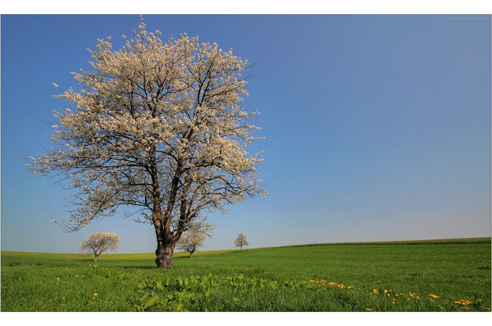 Frühling im Altenburger Land