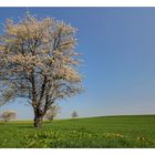 Frühling im Altenburger Land