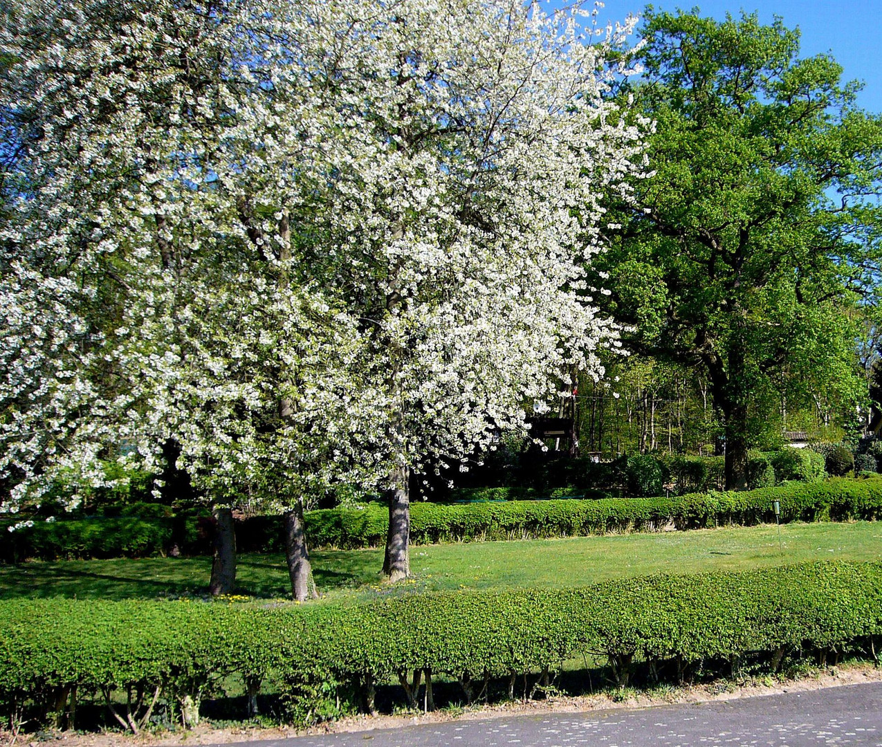 Frühling im April 2007