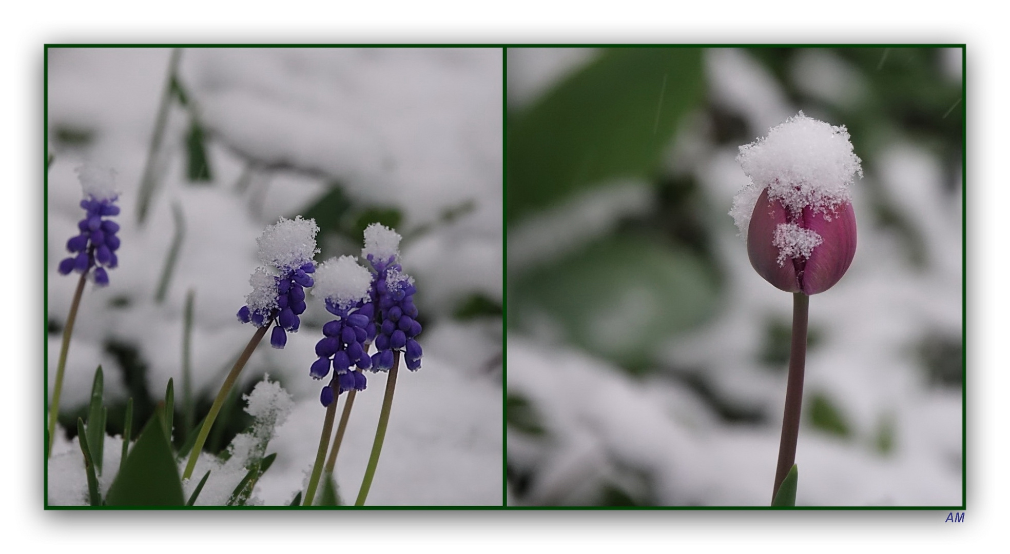 Frühling im April ...