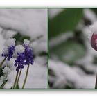 Frühling im April ...